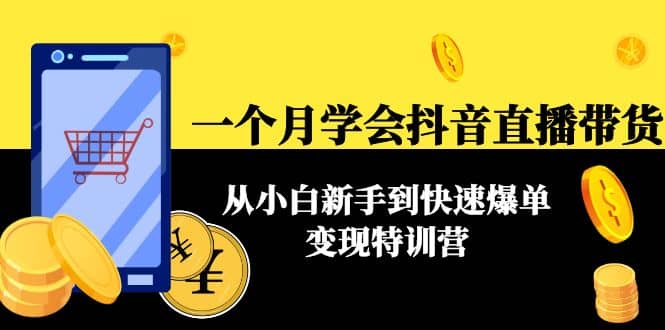 一个月学会抖音直播带货：从小白新手到快速爆单变现特训营(63节课)-魅影网创