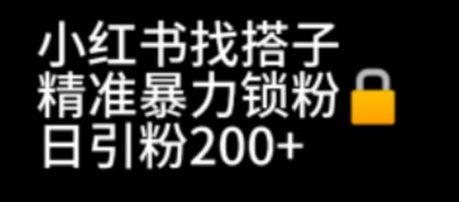 小红书找搭子暴力精准锁粉+引流日引200+精准粉-魅影网创