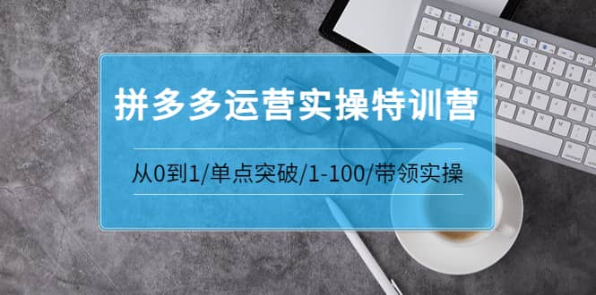 拼多多运营实操特训营：从0到1/单点突破/1-100/带领实操 价值2980元-魅影网创