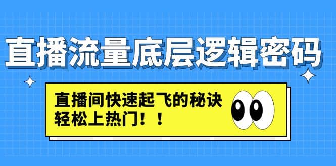 直播流量底层逻辑密码：直播间快速起飞的秘诀，轻松上热门-魅影网创