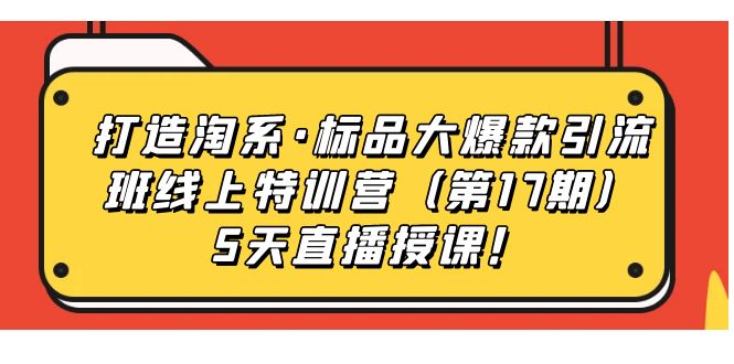 打造淘系·标品大爆款引流班线上特训营5天直播授课！-魅影网创