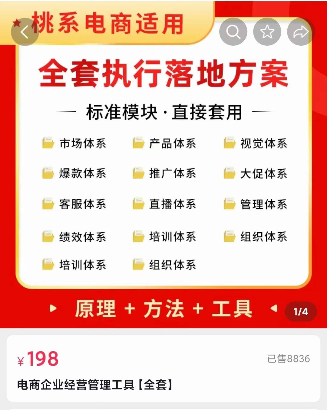 外面卖198·电商企业经营管理工具：全套执行落地方案 标准模块·直接套用-魅影网创