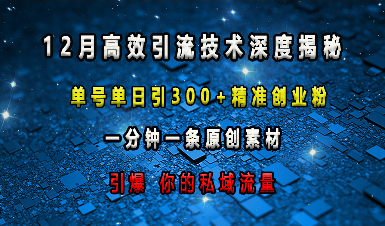 12月高效引流技术深度揭秘 ，单号单日引300+精准创业粉，一分钟一条原创素材，引爆你的私域流量-魅影网创