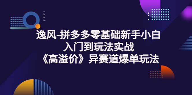 拼多多零基础新手小白入门到玩法实战《高溢价》异赛道爆单玩法实操课-魅影网创