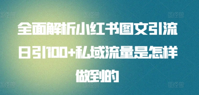 全面解析小红书图文引流日引100私域流量是怎样做到的-魅影网创