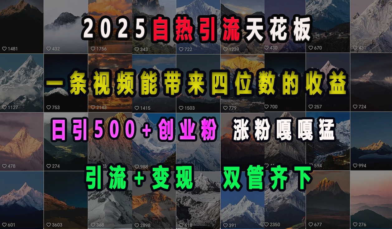 2025自热引流天花板，一条视频能带来四位数的收益，引流+变现双管齐下，日引500+创业粉，涨粉嘎嘎猛-魅影网创