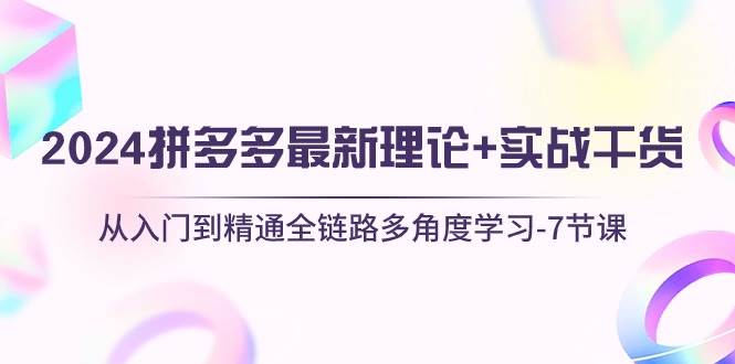 2024拼多多 最新理论+实战干货，从入门到精通全链路多角度学习-7节课-魅影网创