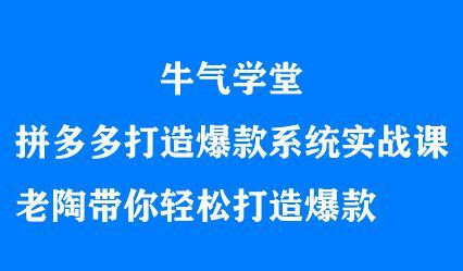 牛气学堂拼多多打造爆款系统实战课，老陶带你轻松打造爆款-魅影网创