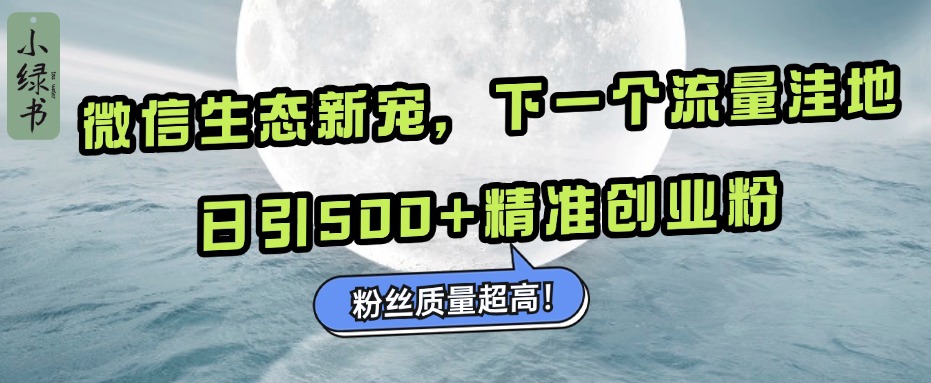 微信生态新宠小绿书：下一个流量洼地，粉丝质量超高，日引500+精准创业粉，-魅影网创