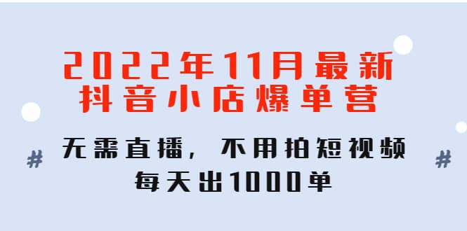 2022年11月最新抖音小店爆单训练营：无需直播，不用拍短视频，每天出1000单-魅影网创