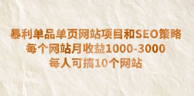 暴利单品单页网站项目和SEO策略 每个网站月收益1000-3000 每人可搞10个-魅影网创