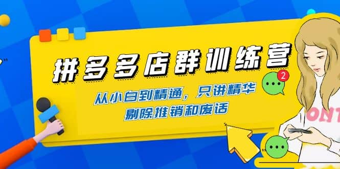 拼多多店群训练营：从小白到精通，只讲精华，剔除推销和废话-魅影网创