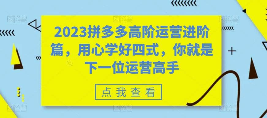 2023拼多多高阶运营进阶篇，用心学好四式，你就是下一位运营高手-魅影网创