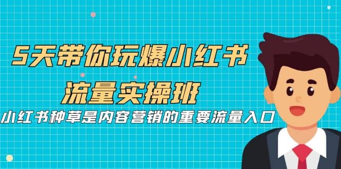 5天带你玩爆小红书流量实操班，小红书种草是内容营销的重要流量入口-魅影网创