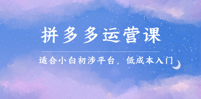 拼多多运营课，适合小白初涉平台，低成本入门-魅影网创