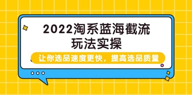 2022淘系蓝海截流玩法实操：让你选品速度更快，提高选品质量（价值599）-魅影网创