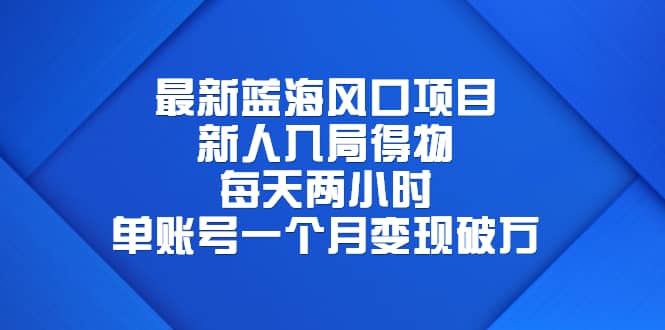 最新蓝海风口项目，新人入局得物，每天两小时，单账号一个月变现破万-魅影网创