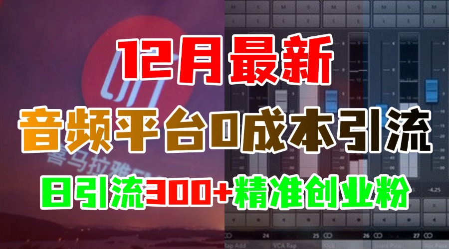 12月最新：音频平台0成本引流，日引300+精准创业粉-魅影网创