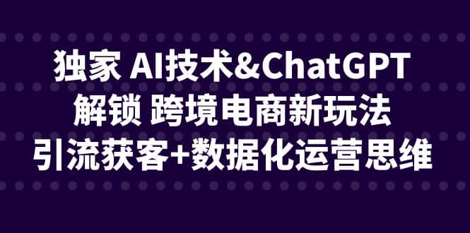 独家 AI技术ChatGPT解锁 跨境电商新玩法，引流获客+数据化运营思维-魅影网创