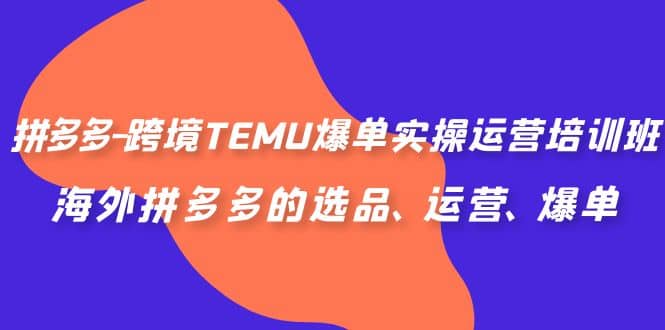 拼多多-跨境TEMU爆单实操运营培训班，海外拼多多的选品、运营、爆单-魅影网创