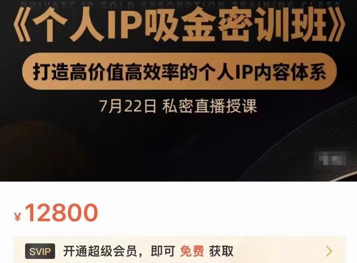 个人IP吸金密训班，打造高价值高效率的个人IP内容体系（价值12800元）-魅影网创