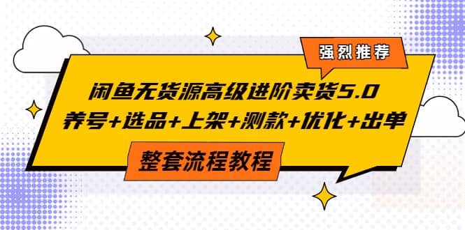 闲鱼无货源高级进阶卖货5.0，养号+选品+上架+测款+优化+出单整套流程教程-魅影网创