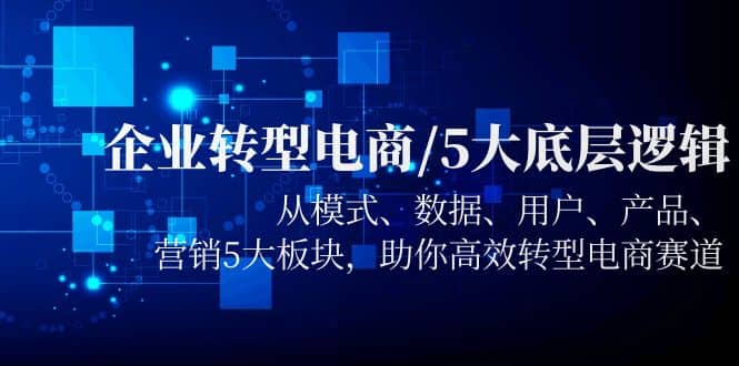 企业转型电商/5大底层逻辑，从模式 数据 用户 产品 营销5大板块，高效转型-魅影网创