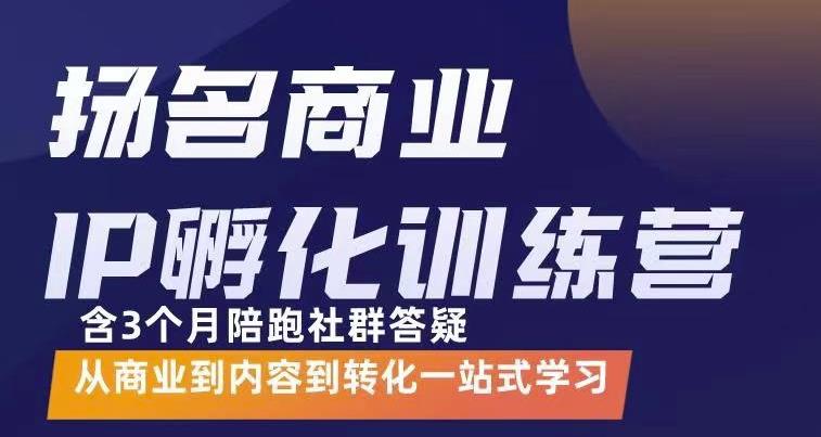 杨名商业IP孵化训练营，从商业到内容到转化一站式学 价值5980元-魅影网创