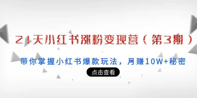 21天小红书涨粉变现营（第3期）：带你掌握小红书爆款玩法，月赚10W+秘密-魅影网创