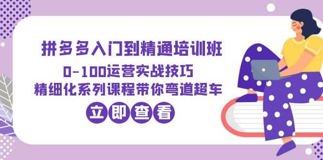 2023拼多多入门到精通培训班：0-100运营实战技巧 精细化系列课带你弯道超车-魅影网创