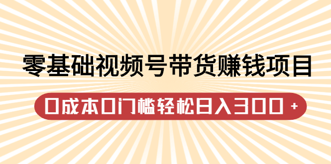 零基础视频号带货赚钱项目，0成本0门槛轻松日入300+【视频教程】-魅影网创