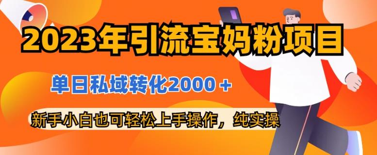 2023年引流宝妈粉项目，单日私域转化2000＋，新手小白也可轻松上手操作，纯实操-魅影网创