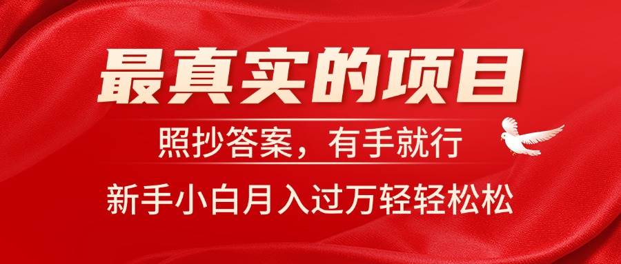 最真实的项目，照抄答案，有手就行，新手小白月入过万轻轻松松-魅影网创