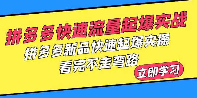 拼多多-快速流量起爆实战，拼多多新品快速起爆实操，看完不走弯路-魅影网创