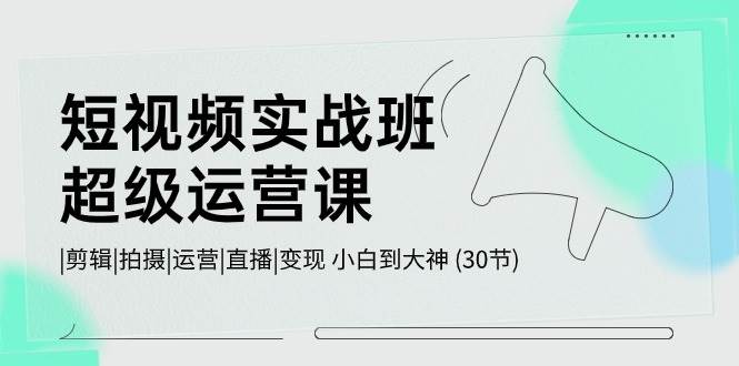 短视频实战班-超级运营课，|剪辑|拍摄|运营|直播|变现 小白到大神 (30节)-魅影网创