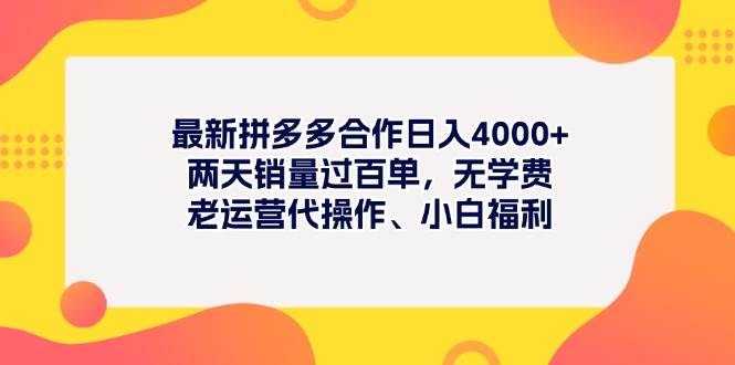 最新拼多多项目日入4000+两天销量过百单，无学费、老运营代操作、小白福利-魅影网创