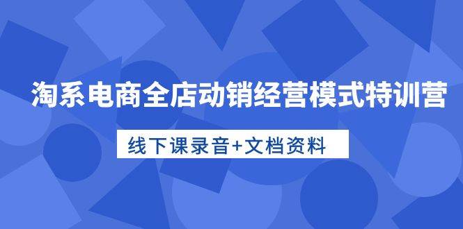 淘系电商全店动销经营模式特训营，线下课录音+文档资料-魅影网创