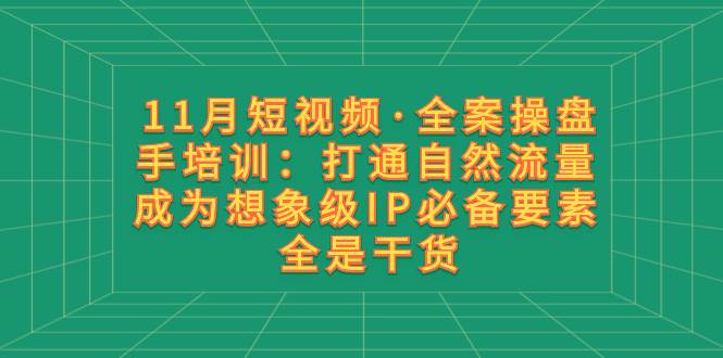 11月短视频·全案操盘手培训：打通自然流量 成为想象级IP必备要素 全是干货-魅影网创