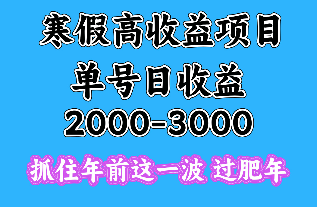 寒假期间一天收益2000-3000+，抓住年前这一波-魅影网创