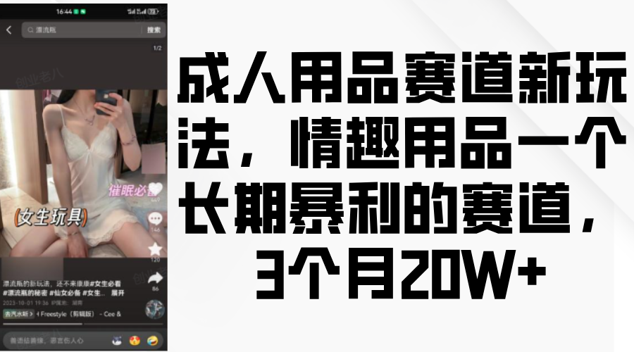 情趣用品一个长期暴利的赛道，成人用品赛道新玩法，3个月20W+-魅影网创