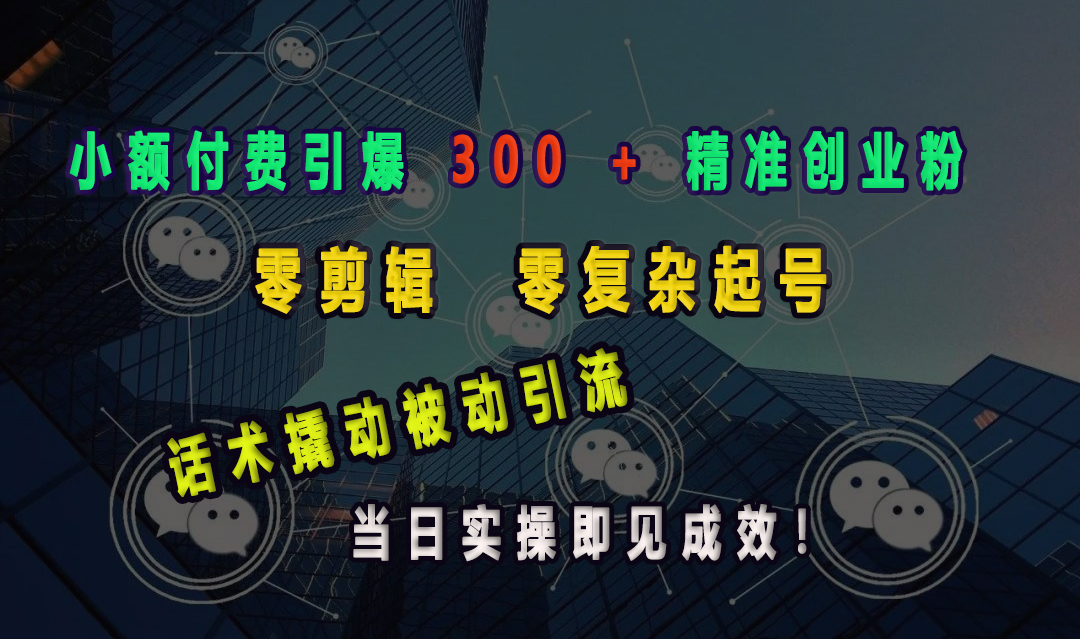 小额付费引爆 300 + 精准创业粉，零剪辑、零复杂起号，话术撬动被动引流，当日实操即见成效！-魅影网创