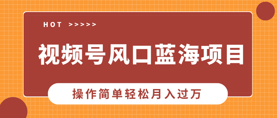 视频号风口蓝海项目，中老年人的流量密码，操作简单轻松月入过万-魅影网创