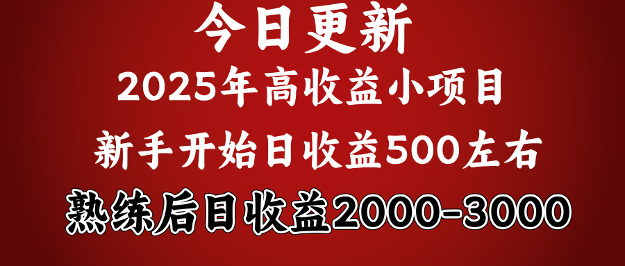 2025开年好项目，新手日收益500+ 熟练掌握后，日收益平均2000多-魅影网创